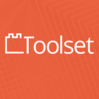 WP-Types, Toolset Expert
